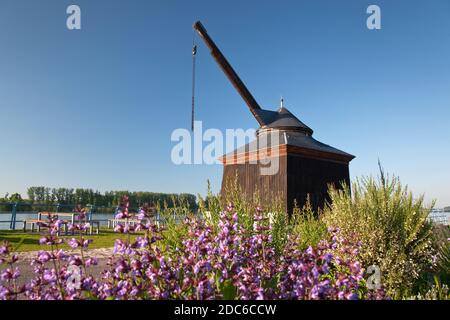 Géographie / Voyage, Allemagne, Hesse, Oestruch-Winkel, grue du Rhin ancien sur le Rhin à Oestruch-Winkel, , droits-supplémentaires-dégagement-Info-non-disponible Banque D'Images