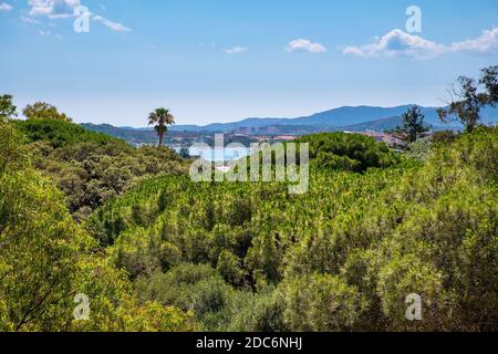 Vue panoramique sur la côte boisée de la Costa Smeralda dans la station balnéaire de San Teodoro en Sardaigne, Italie, sur la rive de la mer Tyrrhénienne Banque D'Images