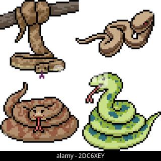 pixel art set isolé jungle serpent Illustration de Vecteur