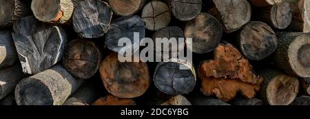 Gros plan sur des bûches de bois empilées et coupées Banque D'Images
