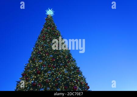 arbre de noël avec guirlande de lumière et de décorations, ciel bleu Banque D'Images