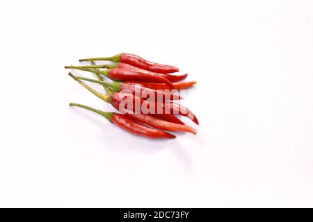 préparation d'herbes et d'ingrédients au piment rouge sur fond blanc Banque D'Images