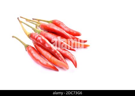 préparation d'herbes et d'ingrédients au piment rouge sur fond blanc Banque D'Images