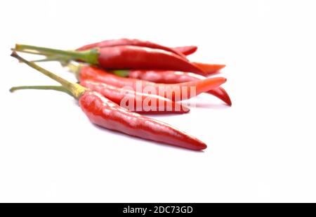 préparation d'herbes et d'ingrédients au piment rouge sur fond blanc Banque D'Images