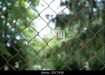 concept pour être enfermé, quarantaine de corona, rusty fil grille avec le vert dans le fond, lock out de la nature Banque D'Images