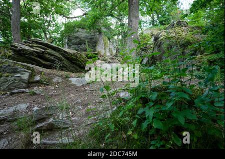 randonnée dans le taunus, dans le quartier rhin-main près de francfort am principal entre les rochers dans la nature wurnderbare Banque D'Images