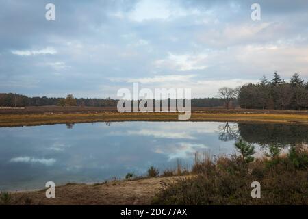 Nuages reflétant dans l'eau à un beau lac dans la nature Réserve 'Heihorsten' aux pays-Bas Banque D'Images