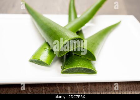 Quatre feuilles vertes propres allongées d'une plante de vera d'aloès reposent sur une plaque de céramique blanche comme dans un graphique exposant les coupes. Banque D'Images