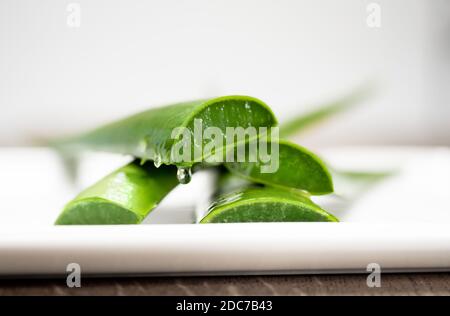L'humidité et l'eau s'écouperont de l'Aloe frais vert coupé Les feuilles de Vera reposent sur une assiette blanche Banque D'Images