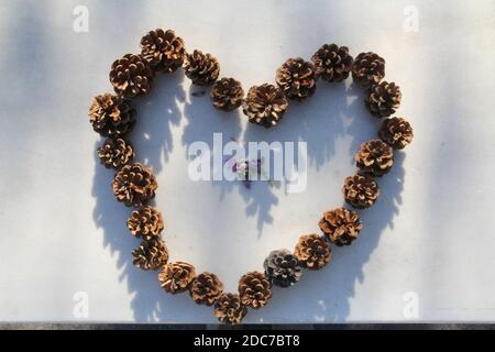 Coeur en cônes de pin sur un banc de marbre Banque D'Images