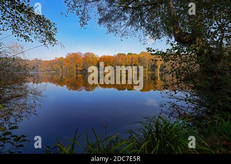 Bassin du moulin de Slaugham, Slaugham, West Sussex, Angleterre, Royaume-Uni. Banque D'Images