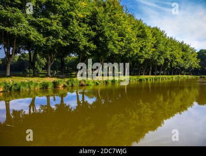 Avenue d'arbres près d'un lac au Haut-Corlay en Bretagne occidentale en France. Banque D'Images