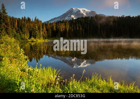 WA18253-00...WASHINGTON - lever du soleil et brume aux lacs Reflection dans le parc national du Mont Rainier. Banque D'Images