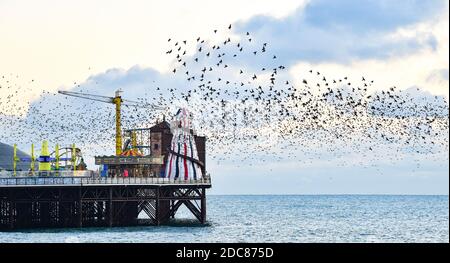 Brighton UK 19 novembre 2020 - les visiteurs apprécient la murmure étoilée quotidienne au coucher du soleil sur la plage à côté de Brighton Palace Pier à la fin de la journée le long de la côte sud : Credit Simon Dack / Alay Live News Banque D'Images