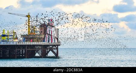 Brighton UK 19 novembre 2020 - les visiteurs apprécient la murmure étoilée quotidienne au coucher du soleil sur la plage à côté de Brighton Palace Pier à la fin de la journée le long de la côte sud : Credit Simon Dack / Alay Live News Banque D'Images