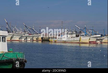 Les bateaux de pêche amarrés au port Choshi, préfecture de Chiba, Japon Février Banque D'Images