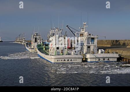 fishing boats moored in harbour  Rausu, Hokkaido, Japan           March Stock Photo