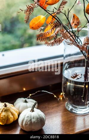 Citrouilles avec des lumières et des branches dans un vase sur le rebord de la fenêtre. Banque D'Images