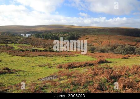 Vue d'automne depuis le banc vers le réservoir de Venford, parc national de Dartmoor, Devon, Angleterre, Royaume-Uni Banque D'Images