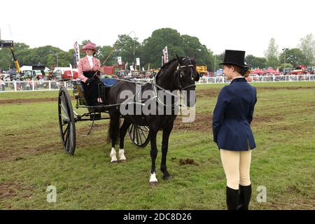 Juger les cours de course de chevaux et de calèche pour femmes au Staffordshire Spectacle du comté Banque D'Images