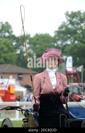 Cours de calèche pour dames au Staffordshire County Show dame avec fouet à la main Banque D'Images