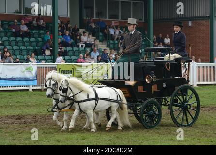 Cours de course à cheval et en calèche au Staffordshire County Show Banque D'Images