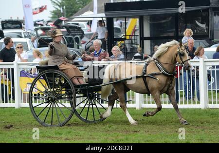 Cours de course à cheval et en calèche au Staffordshire County Show Banque D'Images