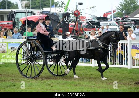 Cours de calèche pour dames au Staffordshire County Show Banque D'Images