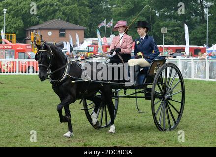 Cours de calèche pour dames au Staffordshire County Show Banque D'Images