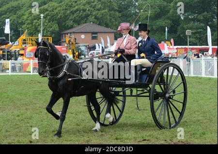 Cours de calèche pour dames au Staffordshire County Show Banque D'Images