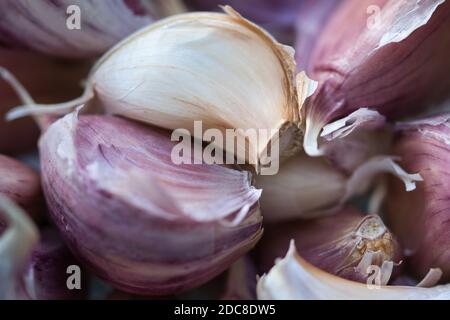 Texture gousses d'ail blanc et violet, gros plan détaillé plein cadre de nourriture autour Banque D'Images