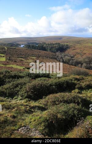 Vue d'automne depuis le banc vers le réservoir de Venford, parc national de Dartmoor, Devon, Angleterre, Royaume-Uni Banque D'Images