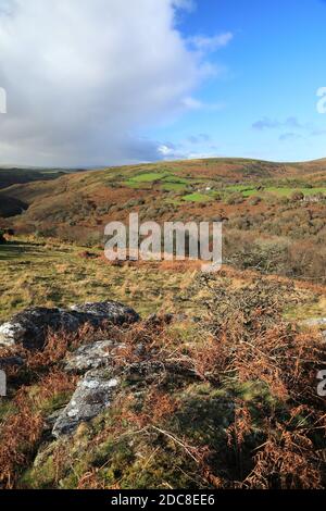 Vue d'automne depuis Bench tor jusqu'à la Dart gorge, parc national de Dartmoor, Devon, Royaume-Uni Banque D'Images