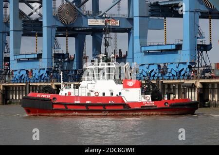 The port tug RT Peter will support the container ship Mette Maersk with mooring in the port of Bremerhaven on August 24, 2020. Stock Photo