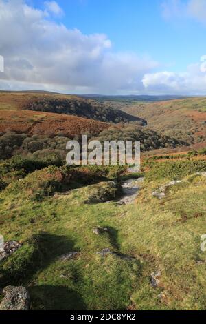 Vue d'automne depuis Bench tor jusqu'à la Dart gorge, parc national de Dartmoor, Devon, Royaume-Uni Banque D'Images