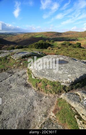 Vue d'automne depuis le haut du banc jusqu'à la gorge de Dart en direction de Dartmeet, parc national de Dartmoor, Devon, Angleterre, Royaume-Uni Banque D'Images