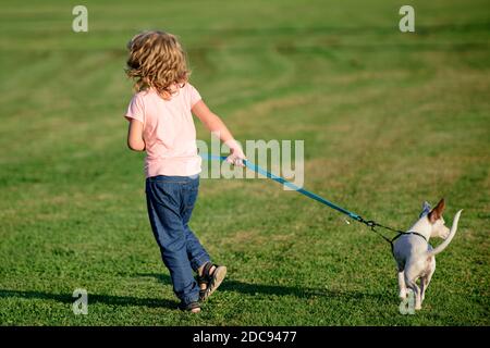 Garçon jouant avec le chien sur la pelouse dans le parc. Animal de compagnie avec propriétaire. Le chien a soulevé la queue. Elle aime le jeu. Chien avec course de l'enfant. Banque D'Images