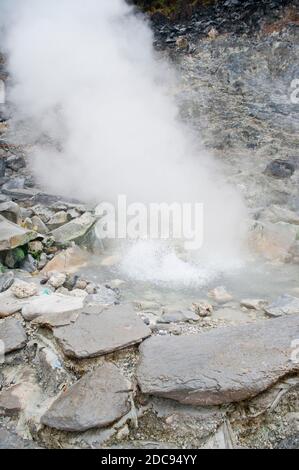 Geyser de piscine chaude bouillonnante au volcan Tangkuban Perahu, Bandung, Java, Indonésie, Asie Banque D'Images