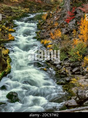 Gorge de Takelma, rivière Rogue National Wild and Scenic, forêt nationale de Rogue River, Oregon Banque D'Images