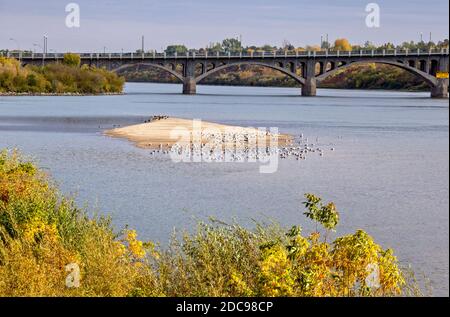 Rivière Saskatchewan Nord Saskatoon Banque D'Images