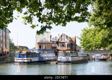 Bateaux de croisière sur la rivière et l'Avon depuis Christchurch Meadow Walk, Oxford, Oxfordshire, Angleterre, Royaume-Uni Banque D'Images