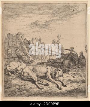 Karel Dujardin, (artiste), néerlandais, 1626 - 1678, chiens de chasse, gravure Banque D'Images