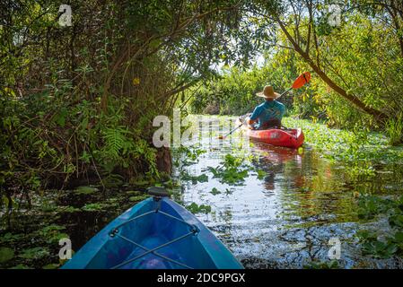 Kayak sur la rivière Guana à Ponte Vedra Beach, Floride. (ÉTATS-UNIS) Banque D'Images