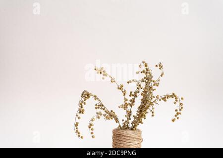 Fleurs séchées. Faites sécher les épillets et les herbes dans des vases sur un fond rose clair. Concept d'automne Banque D'Images