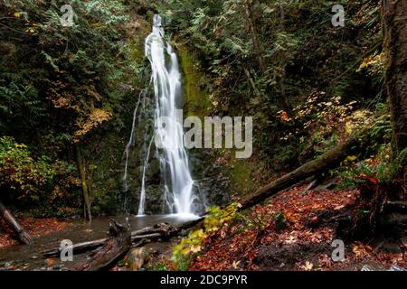 WA17900-00....WASHINGTON - Madison Falls dans la vallée de la rivière Elwha, parc national olympique. Banque D'Images