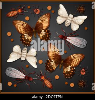 Ensemble de différents insectes dans l'illustration d'arrière-plan de cadre en bois Illustration de Vecteur