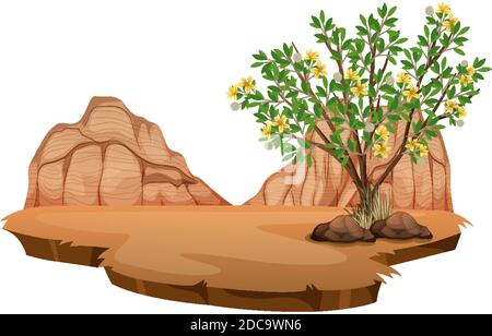 Créosote Bush plante dans le désert sauvage sur fond blanc illustration Illustration de Vecteur