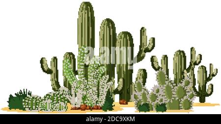 Différentes formes de cactus dans une illustration de groupe Illustration de Vecteur