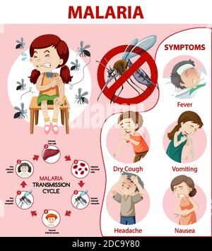 Illustration de l'infographie sur les symptômes du paludisme Illustration de Vecteur