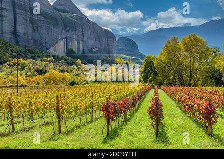 Vue sur le vignoble un magnifique jour d'automne à Meteora, Grèce. Banque D'Images